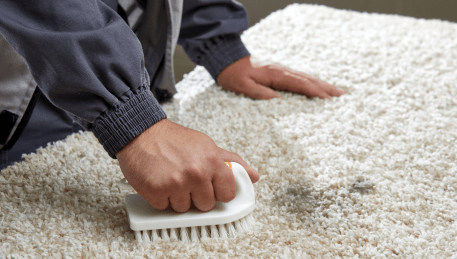 Professional Rug Cleaning Pentland Hills